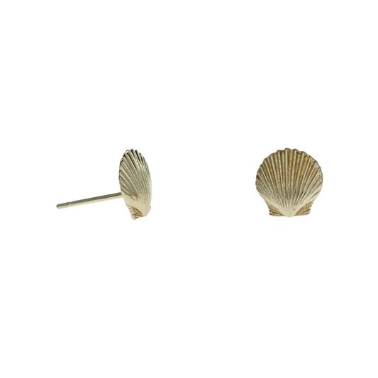 Seashell Earrings